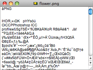 Flower - Text Editor