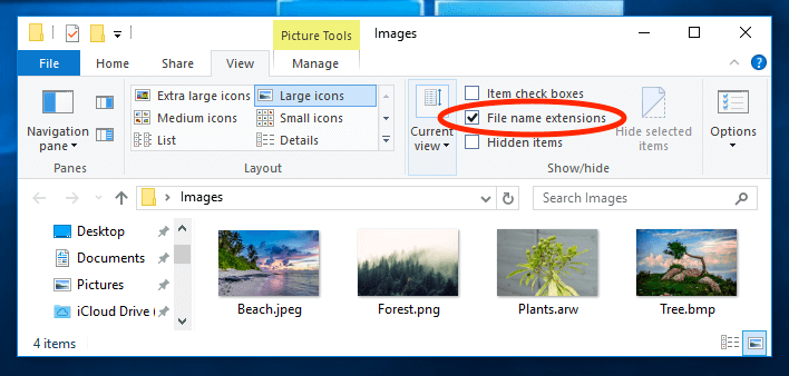 Windows 10 File Name Extensions Checkbox