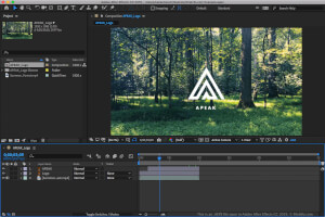 Näyttökuva .aepx-tiedostosta Adobe After Effects CC 2019 -sovelluksessa