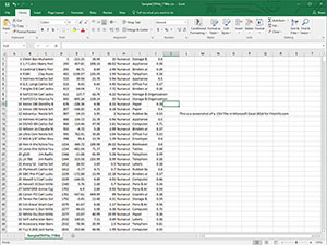 Näyttökuva .csv-tiedostosta Microsoft Excel 2016: ssa