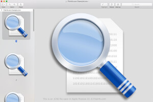 Näyttökuva .icns-tiedostosta Apple Preview 10: ssä