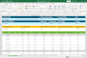 Näyttökuva .xls-tiedostosta Microsoft Excel 2019: ssä