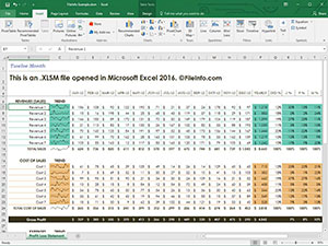Näyttökuva .xlsm-tiedostosta Microsoft Excel 2016: ssa